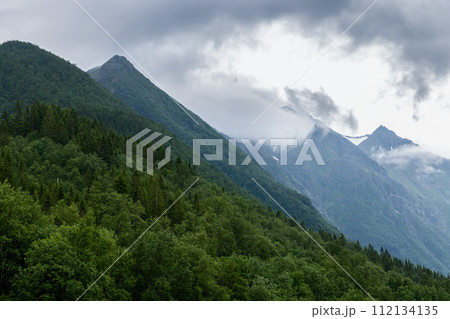 Lush green forests cover the foothills of Norway's mist-shrouded mountains Lush green forests cover the foothills of Norway's mist-shrouded mountains 112134135