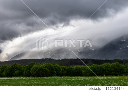 Lush Norwegian meadow with wildflowers facing dark forest under summer clouds rolling over mountains Lush Norwegian meadow with wildflowers facing dark forest under summer clouds rolling over mountains 112134144