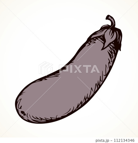 Ripe eggplant. Vector drawing icon 112134346