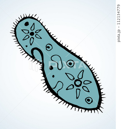 Paramecium caudatum. Vector drawing icon 112134779