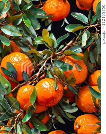 Tangerines with leaves on a branch. Tangerines wallpaper or pattern 112135750