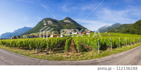 view of the neighborhood of Aigle Castle view of the neighborhood of Aigle Castle 112136288