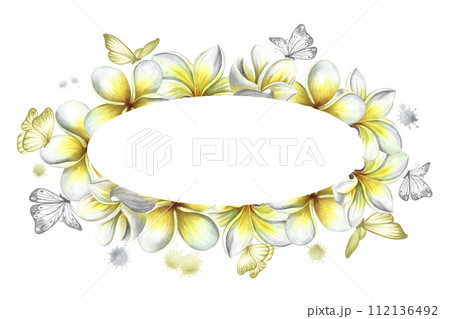 Oval frame with plumeria and butterflies, tropical fragrant frangipani flowers. Hand-drawn watercolor illustration. For packaging and labels. For posters, flyers, greeting cards and invitations. 112136492