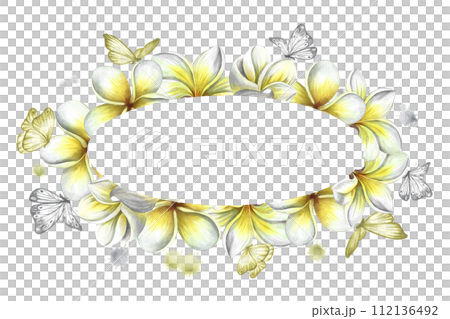 Oval frame with plumeria and butterflies, tropical fragrant frangipani flowers. Hand-drawn watercolor illustration. For packaging and labels. For posters, flyers, greeting cards and invitations. 112136492