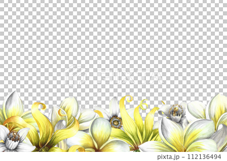 A banner with fragrant flowers of plumeria, frangipani, orange blossom and ylang-ylang. Vintage delicate border frame with tropical flowers and butterflies. Hand-drawn watercolor illustration. 112136494