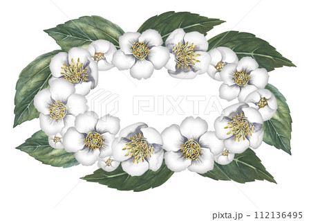 Oval frame with jasmine flowers. A wreath of fragrant white spring flowers. Hand-drawn watercolor illustration. For packaging, greeting and invitation cards and labels. For banners, flyers. Oval frame with jasmine flowers. A wreath of fragrant white spring flowers. Hand-drawn watercolor illustration. For packaging, greeting and invitation cards and labels. For banners, flyers. 112136495