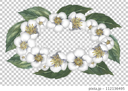 Oval frame with jasmine flowers. A wreath of fragrant white spring flowers. Hand-drawn watercolor illustration. For packaging, greeting and invitation cards and labels. For banners, flyers. Oval frame with jasmine flowers. A wreath of fragrant white spring flowers. Hand-drawn watercolor illustration. For packaging, greeting and invitation cards and labels. For banners, flyers. 112136495