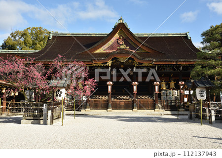 拝殿と紅梅(飛梅)　北野天満宮 112137943