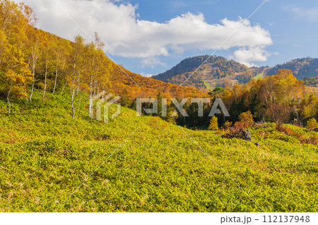 秋の志賀高原 紅葉見頃の平床 秋の志賀高原 紅葉見頃の平床 112137948