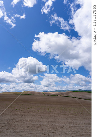 青空とたくさんの雲と畑 青空とたくさんの雲と畑 112137965