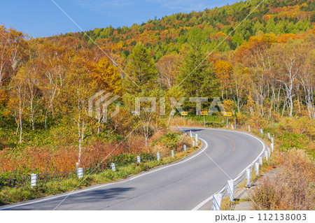 秋の志賀高原 紅葉見頃の平床 秋の志賀高原 紅葉見頃の平床 112138003