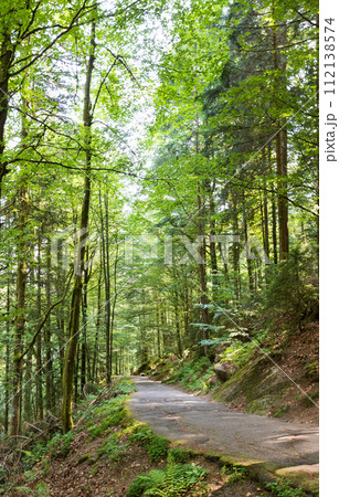 Schwarzwald forest in southwestern Germany Schwarzwald forest in southwestern Germany 112138574