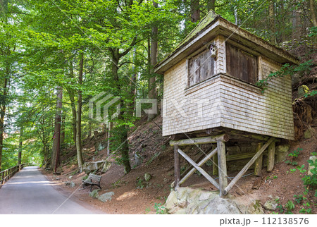 Schwarzwald forest in southwestern Germany Schwarzwald forest in southwestern Germany 112138576