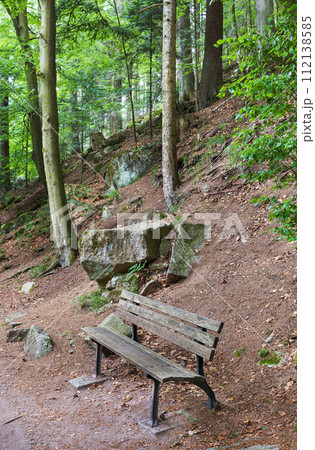 Schwarzwald forest in southwestern Germany 112138585