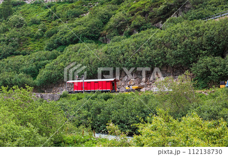 wagon against the background of green trees wagon against the background of green trees 112138730