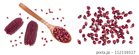 Purple corn or maize with seeds isolated on white background with full depth of field. Top view. Flat lay Purple corn or maize with seeds isolated on white background with full depth of field. Top view. Flat lay 112139317