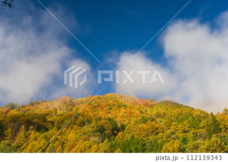 信州松本「奈川地区」の紅葉 112139343