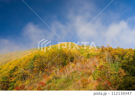 信州松本「奈川地区」の紅葉 112139347