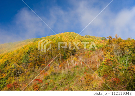 信州松本「奈川地区」の紅葉 112139348