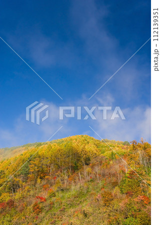 信州松本「奈川地区」の紅葉 112139351