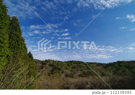 森林風景 森林風景 112139393