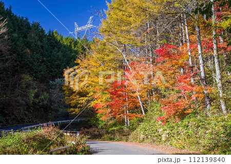 「長野県道39号奈川野麦高根線」沿いの紅葉 112139840