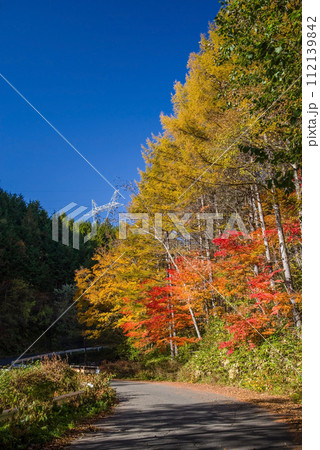 「長野県道39号奈川野麦高根線」沿いの紅葉 「長野県道39号奈川野麦高根線」沿いの紅葉 112139842