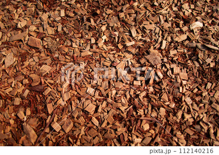 木質アプローチの木片 112140216