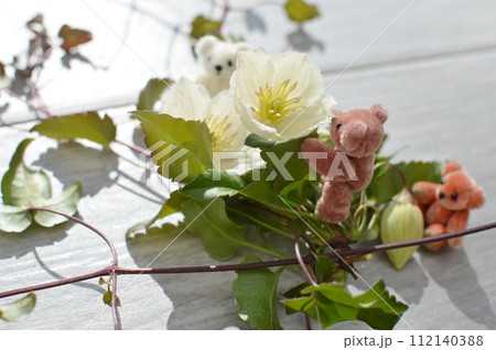 乳白色の冬咲きクレマチスのとテディベア    乳白色の冬咲きクレマチスのとテディベア    112140388