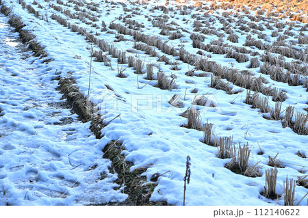 大雪後の残雪と薄氷 田圃の農道 荒川河川敷の冬景色 大雪後の残雪と薄氷 田圃の農道 荒川河川敷の冬景色 112140622
