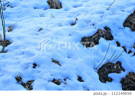 大雪後の残雪 田圃 荒川河川敷の冬景色 大雪後の残雪 田圃 荒川河川敷の冬景色 112140656