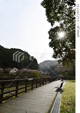 春の川代公園 112140732