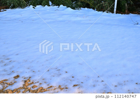 関東地方の大雪後の残雪 荒川河川敷の冬景色 関東地方の大雪後の残雪 荒川河川敷の冬景色 112140747