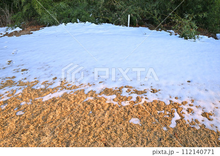 関東地方の大雪後の残雪　荒川河川敷の冬景色　 112140771