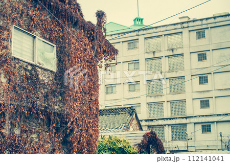 蔦で覆われた建物とレトロなビル【松本市】 112141041