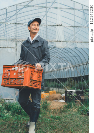 vegetable field 112142230