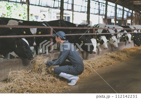 ranch 112142231