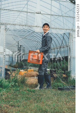 vegetable field 112142233