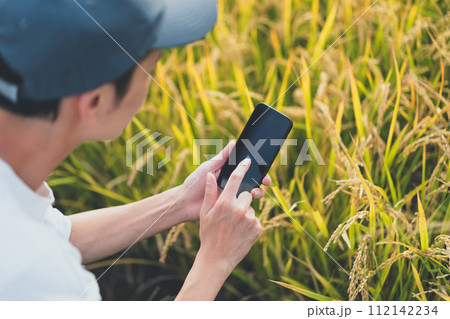 rice farming rice farming 112142234
