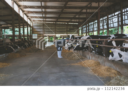 ranch 112142236
