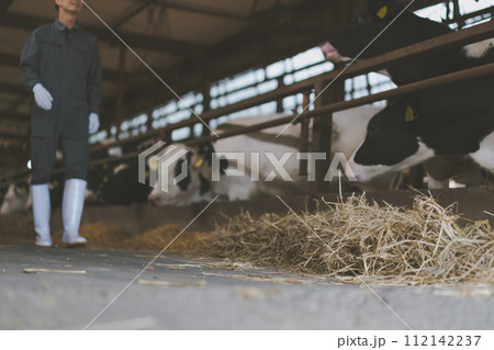 ranch 112142237