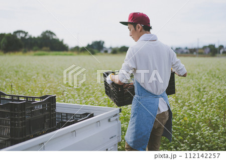 vegetable field 112142257