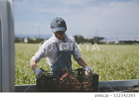 vegetable field 112142265
