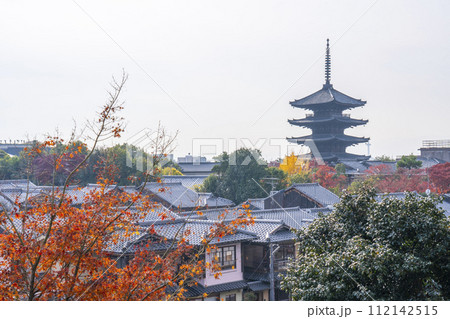秋の京都 維新の道からの八坂の塔を望む 秋の京都 維新の道からの八坂の塔を望む 112142515