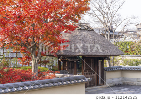 秋の京都　高台寺　春光院　紅葉に包まれた茅葺き屋根の門 112142525