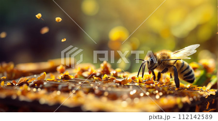 A honeycomb with bees on it. 112142589