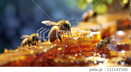 A honeycomb with bees on it. 112142590