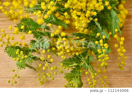 春の黄色い花、ミモザ、mimosa、ブーケ、花束。 112143006