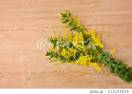 春の黄色い花、ミモザ、mimosa、ブーケ、花束。 春の黄色い花、ミモザ、mimosa、ブーケ、花束。 112143019