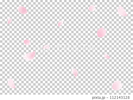 Cherry blossoms with hand-painted watercolor petals falling 112143128